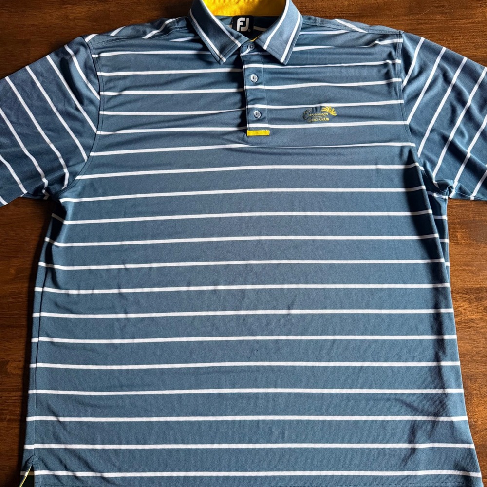 FootJoy Mens XL Blue Striped Cimarron Golf Club ProDry Performance Polo Shirt - Picture 2 of 7